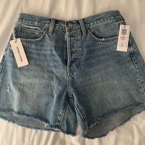 Aritzia DENIM FORUM Ex Boyfriend MIDI Short